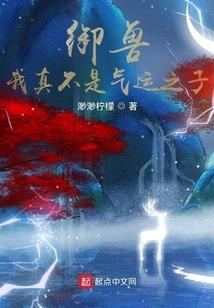 去小学当会计要考试吗
