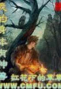黄岛注册会计师培训