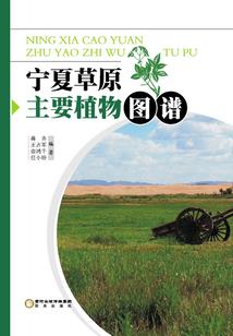东奥现金股利