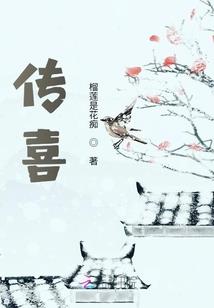 初级会计个人信息