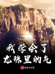 财政账本预算