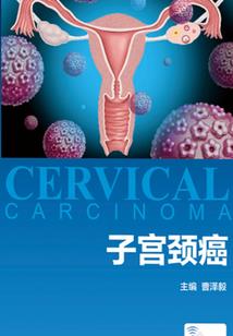 政府财政部门批复