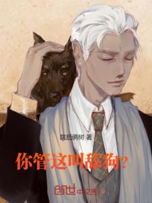 长清财税咨询价格