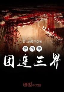 会计师和会计刺客