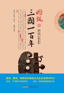 会计师实践报告