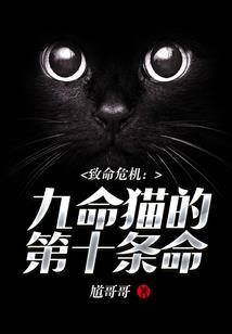 祥云鹿鸣乡财政所所长
