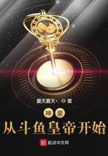 中建材集团会计师