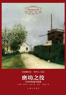 注册会计师非法集资案例