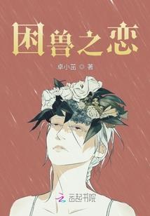 会计要素又叫