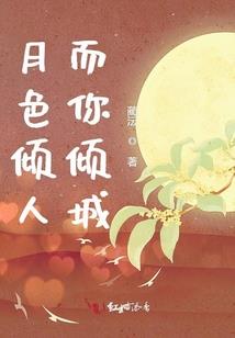 注册会计师卢丽