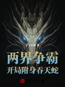 注册注册会计师考试科目