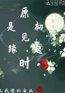 关岛会计师委员会