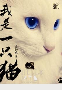 涪陵财税律师