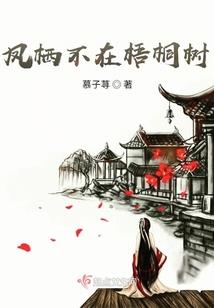 会计师回报及发展前景