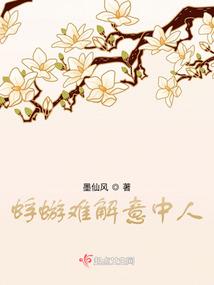 查询初级会计师