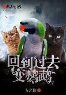 执业医师证和中级会计师