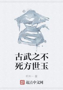 西安高新区财政局主任是
