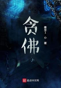 中国管理会计师考试查询
