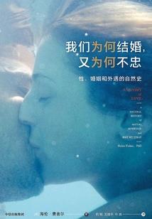 关于东奥故事盒