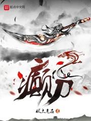 金帐师财税