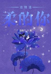 康美会计师审核