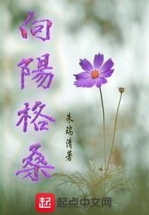 岱东财税