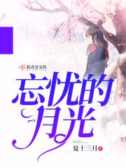 日照财税培训公司