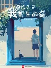 会计的报账