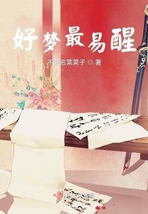 发行债劵会计科目