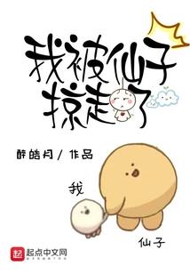 特工会计师