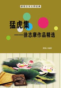 销售经理(财税项目)