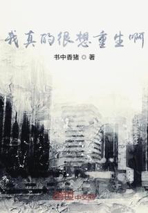 曹县注册会计师