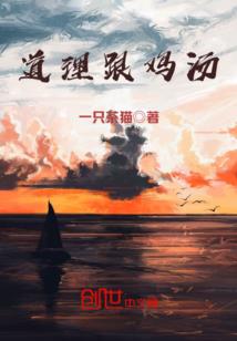 宇诺财税公司
