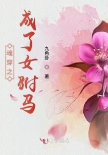 河源市初级会计复核