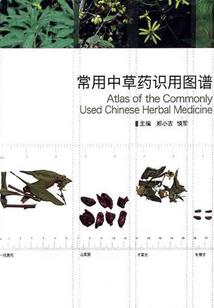 东奥丰美庙