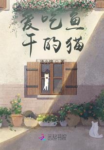 中级会计实务2实训报告