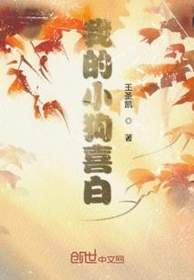 初级会计实务选修课