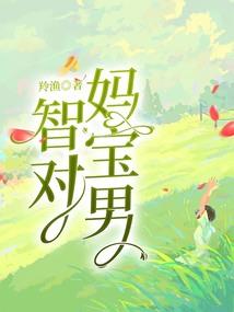 会计师事务所小所实习