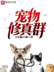苍溪会计师培训招生电话