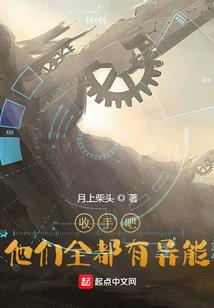 老王注册会计师审计