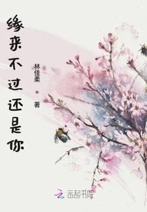 过年迎接东奥视频大全