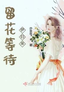 赵治钢财政部