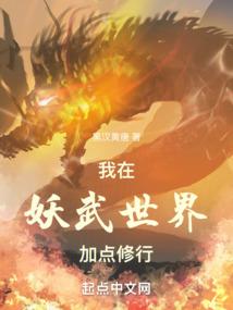 在美国会计