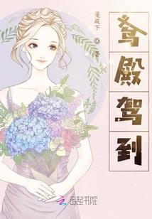 光明区财税代理记账收费