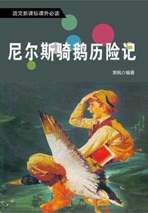 销售和购入的会计分录