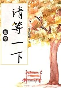 蓝田财税代理办理