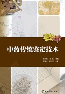 东奥会颁奖服装设计