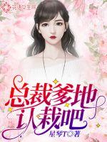cpa应届报名指南