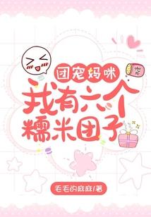 会计培训有什么专业