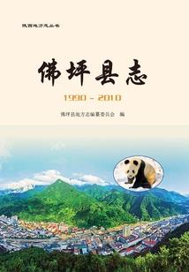 金钱树发财税